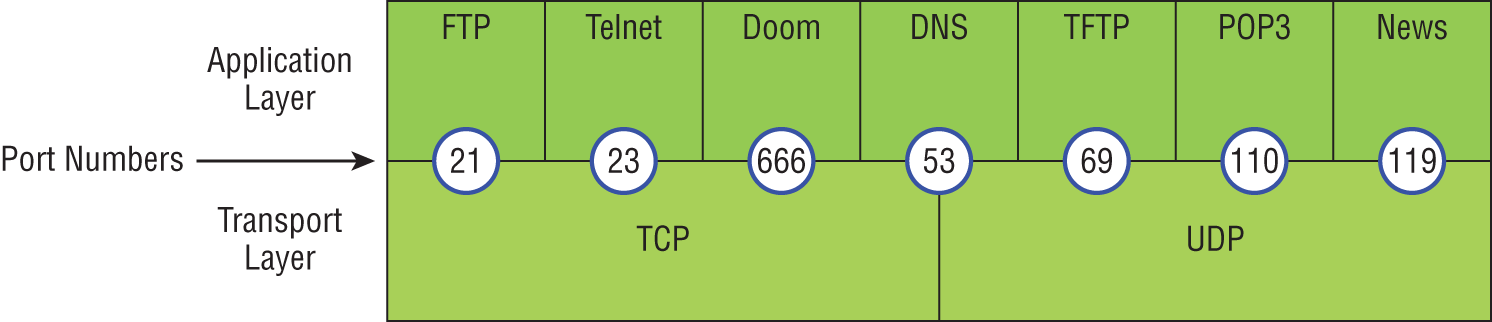 Schematic illustration of port numbers for TCP and UDP