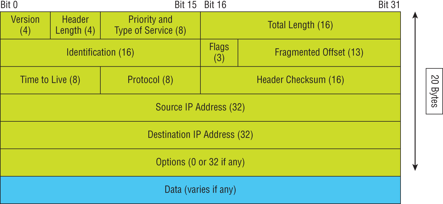 Schematic illustration of IPv4 header