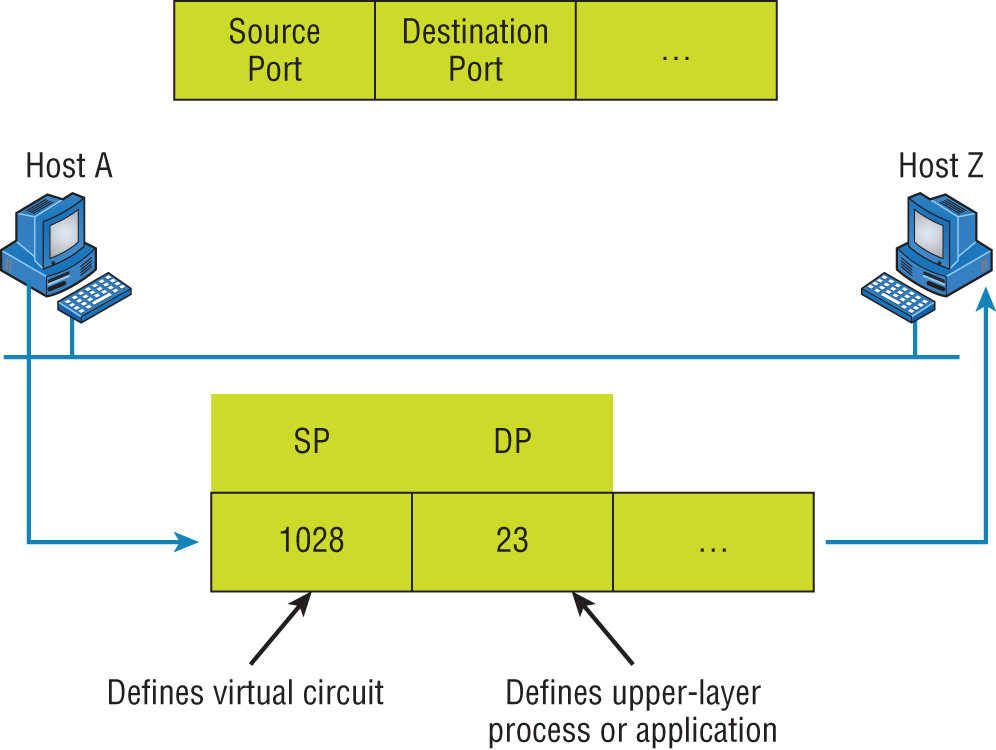 Schematic illustration of port numbers at the Transport layer