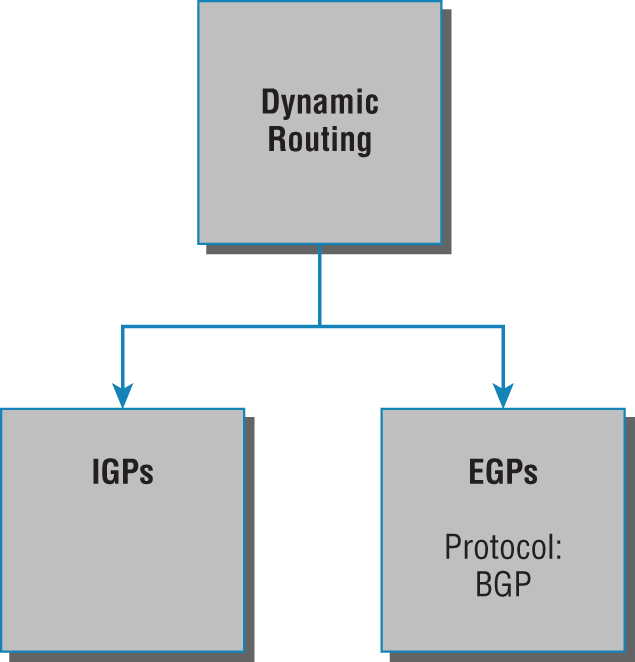 Schematic illustration of dynamic routing options