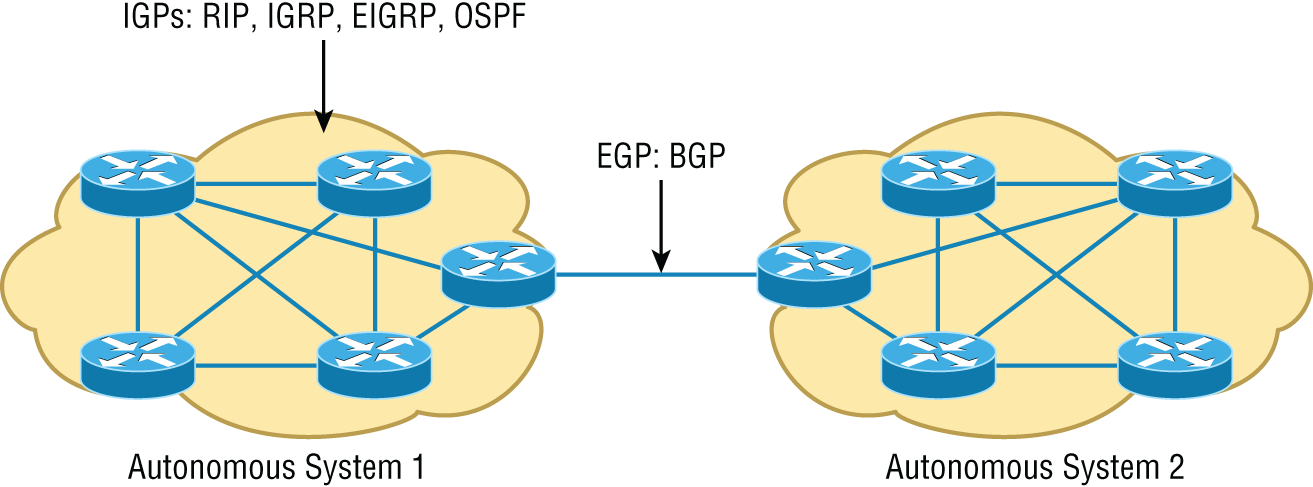 Schematic illustration of Border Gateway Protocol (BGP)