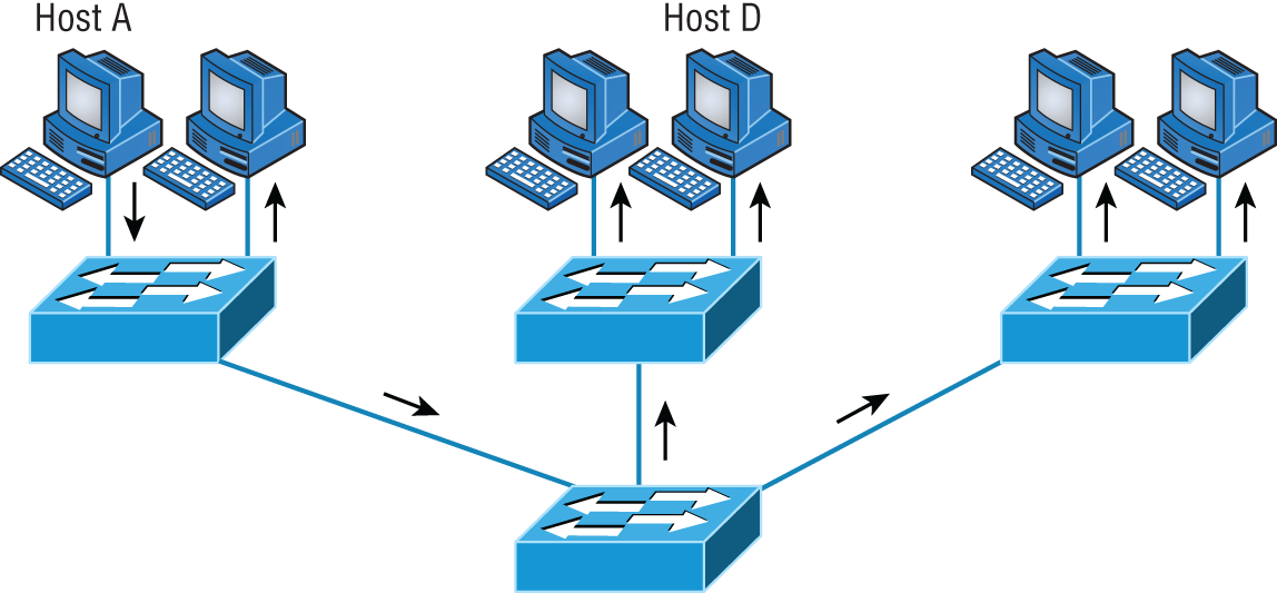 Schematic illustration of flat network structure