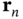 bold r Subscript n