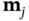 bold m Subscript j