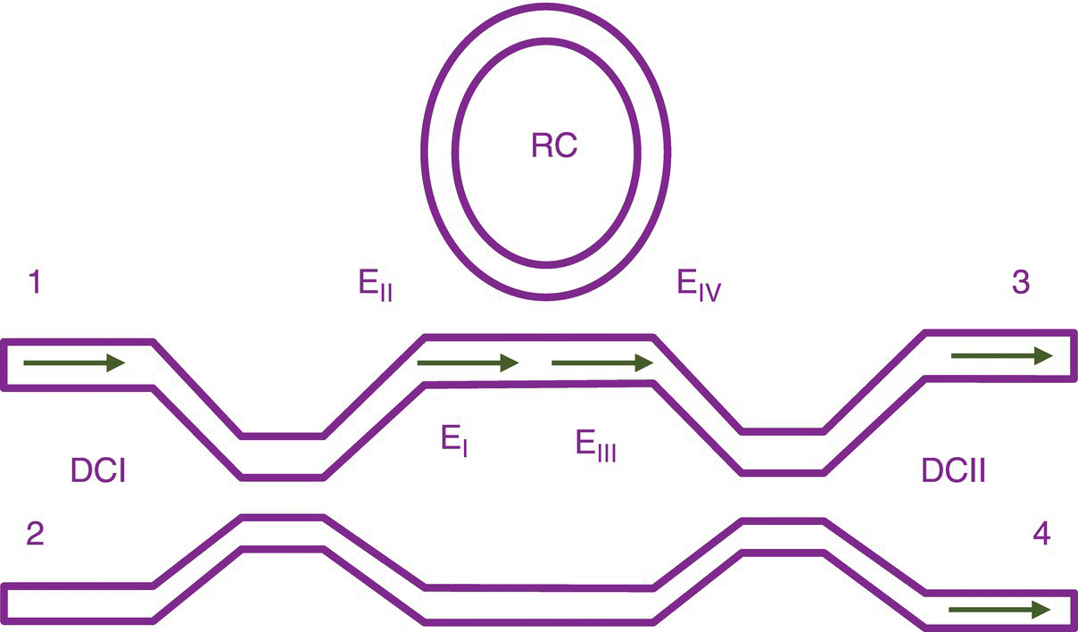 Schematic illustration of structure of AOS in M–Z interferometer coupled with ring cavity (RC).