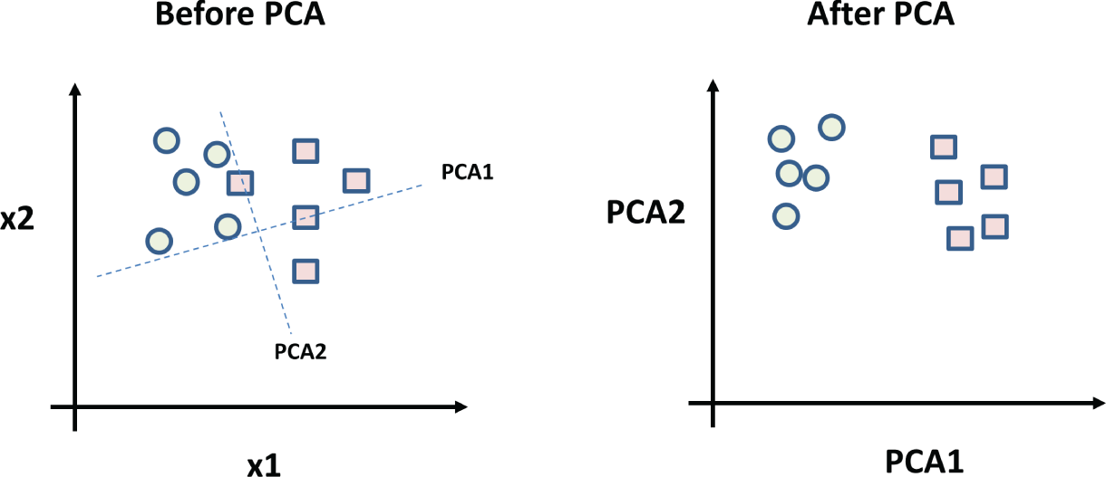 Snapshot of pCA: a set of given data before PCA (left) and the data after PCA (right)