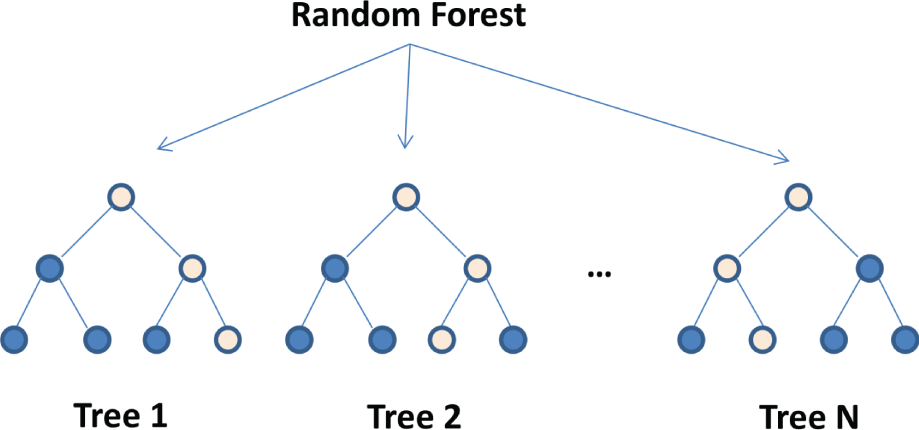 Schmatic illustration of random forest, based on multiple decision trees