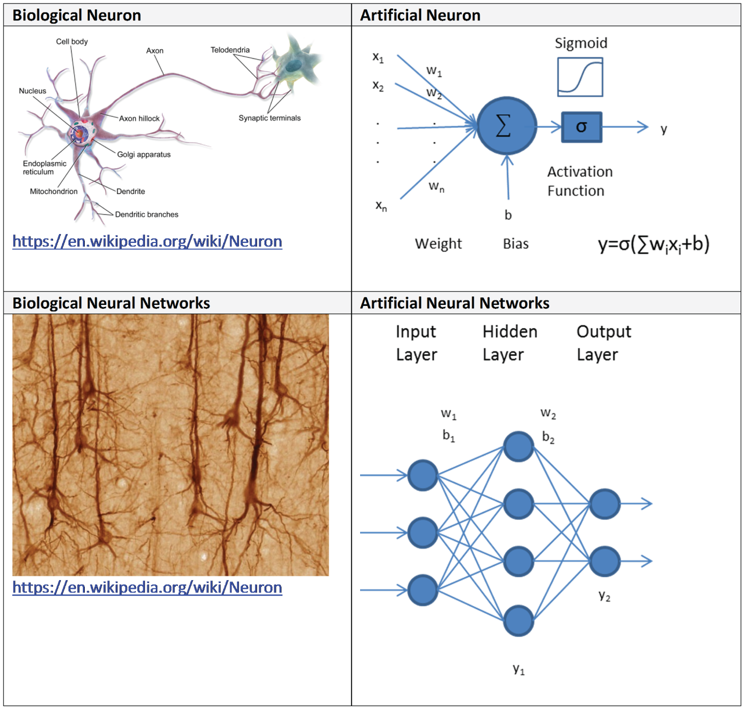 Snapshot of biological neuron versus artificial neuron, and biological neuron networks versus artificial neuron networks