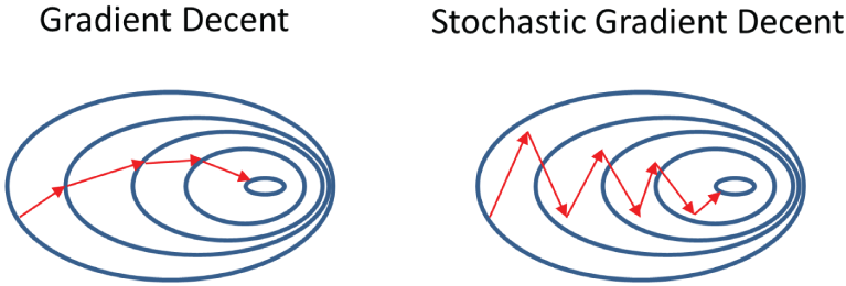 Schmatic illustration of the paths of gradient descent and stochastic gradient descent