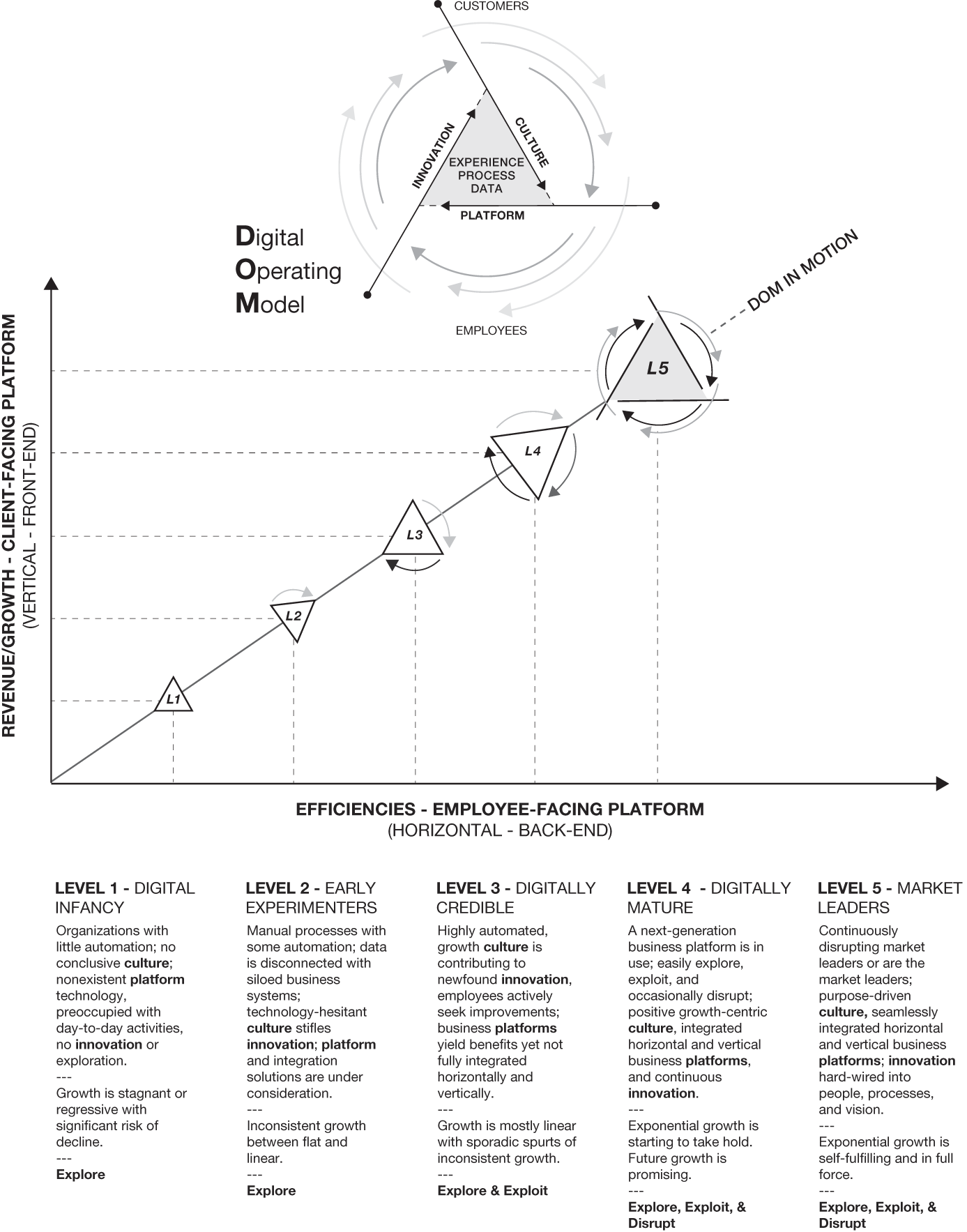 Schematic illustration of digital maturity Levels 1 through 5.