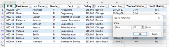 Snapshot of Using the Top 10 Items AutoFilter to filter out all records except for those with the top ten salaries.