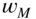 w Subscript upper M