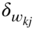 delta Subscript w Sub Subscript k j