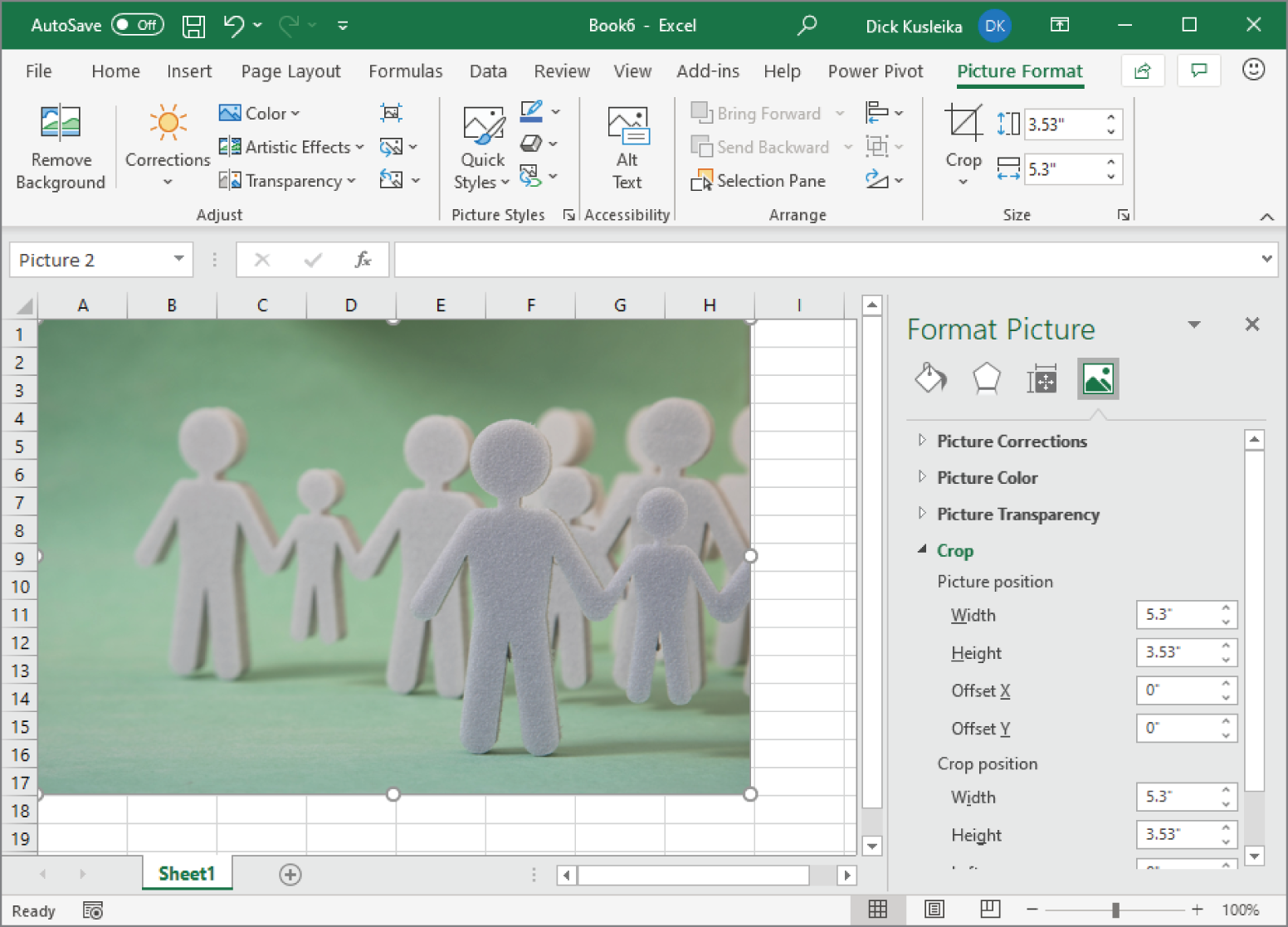 Snapshot of the Format Picture task pane, docked on the right side of the window