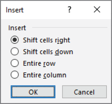 Snapshot shows insert partial rows or columns by using the Insert dialog box.