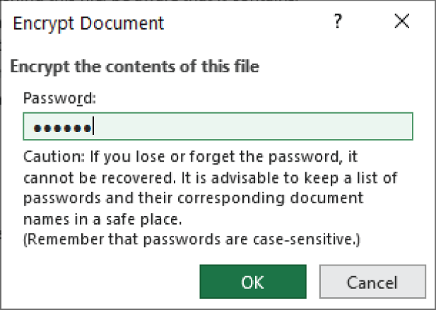 Snapshot of the Encrypt Document dialog box is where you specify a password for your workbook.