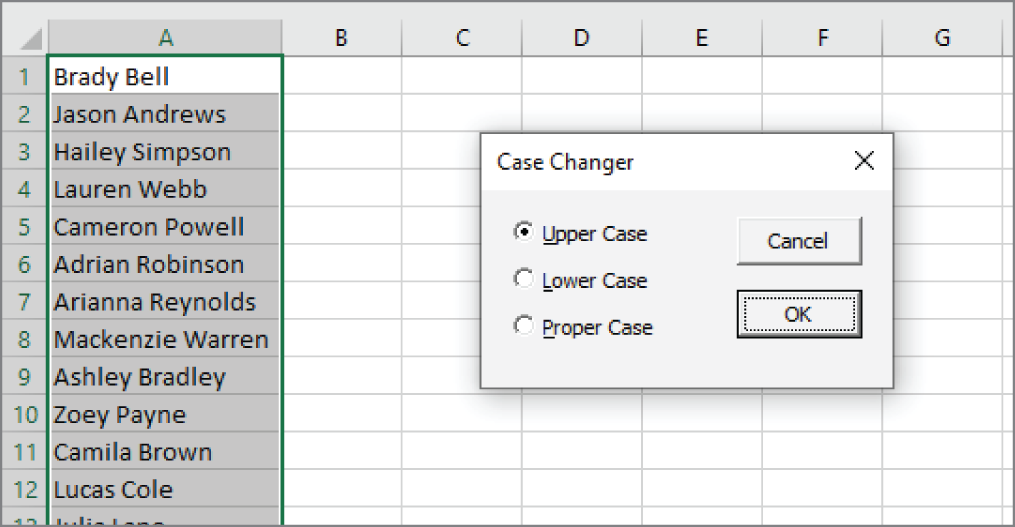 Snapshot of the dialog box enables the usingr to change the case of text in the selected cells.