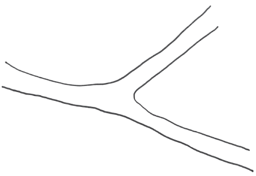 Schematic illustration of lines representing the three rivers.