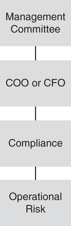 Schematic illustration of Example Reporting Structure Where Operational Risk Is Owned by the Chief Compliance Officer