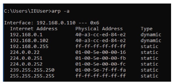 Schematic illustration of ARP table of a spoofed network with two different IP.