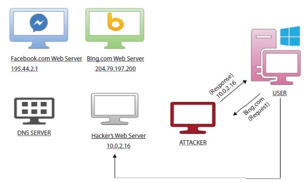 Schematic illustration of attacker using DNS spoofing to redirect any request by the user to its own web server.