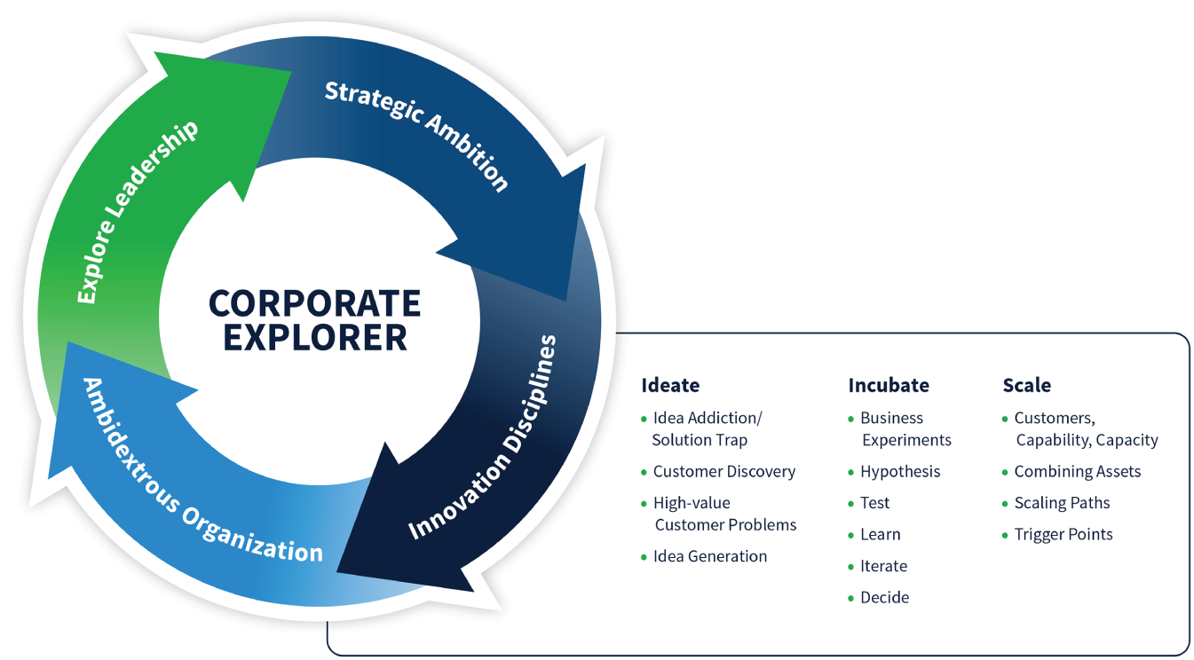 Schematic illustration of innovation disciplines.