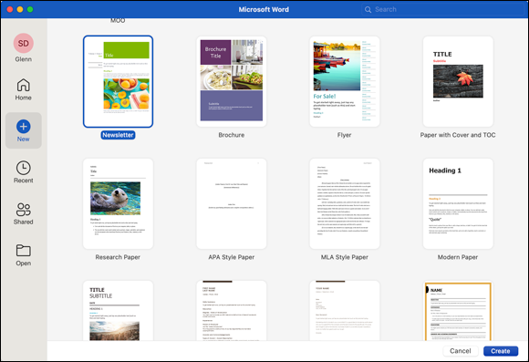 Snapshot shows starting a new, blank document in the gallery or choose a document template or theme.