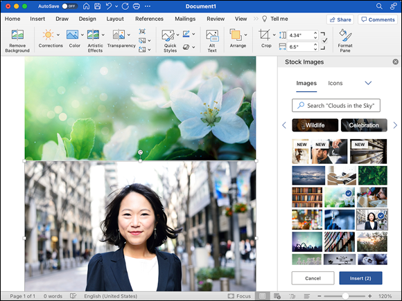 Snapshot shows selected and inserted two images from the Stock Images gallery.
