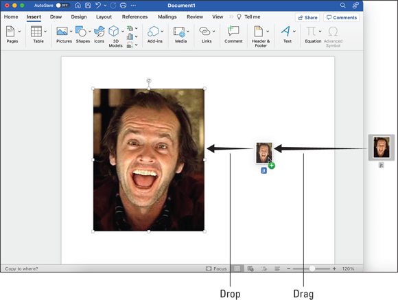 Snapshot shows Dragging an image file from the desktop to a document.