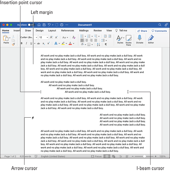 Snapshot shows the arrow, insertion point, and I-beam cursors.