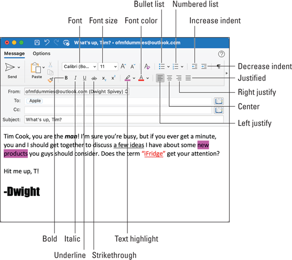 Snapshot shows the Message tab and its options for formatting text.