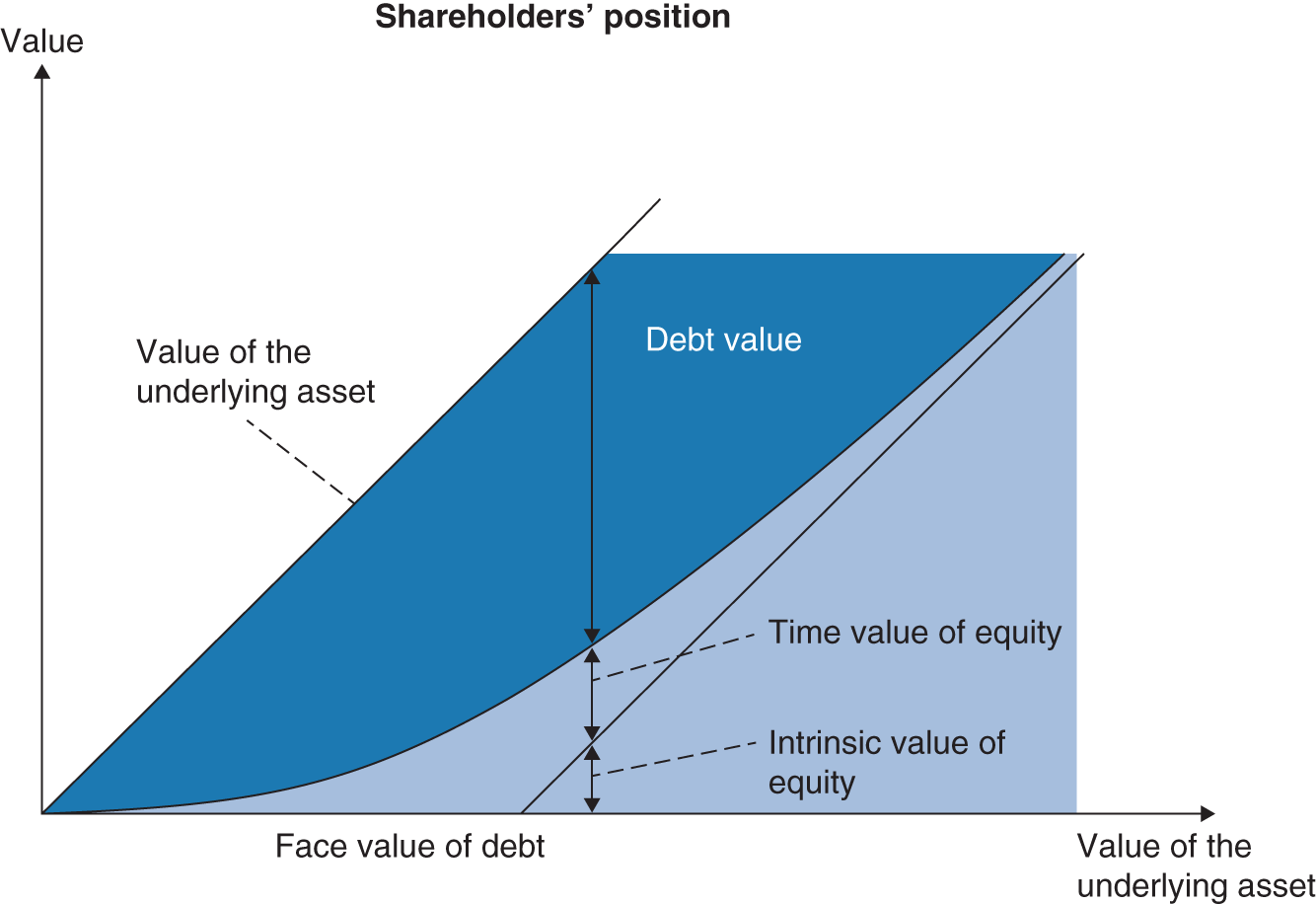 Schematic illustration of Shareholders' position