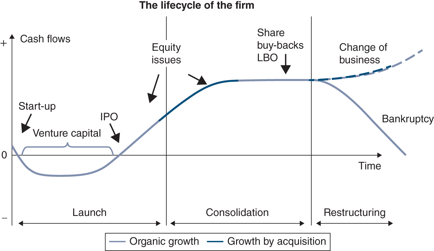 Graph depicts SMTPC share price €