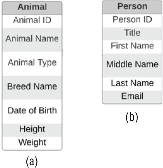 Snapshot of the (a) Animal entity and (b) Person entity in a veterinary database