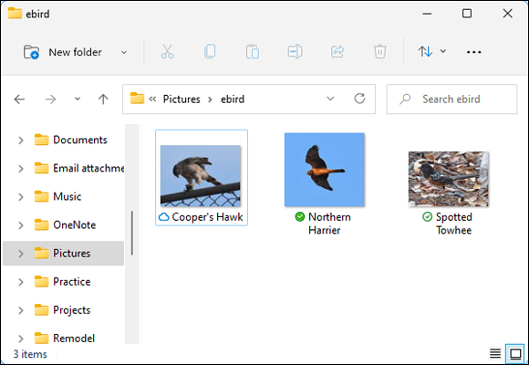 Snapshot of OneDrive Files On Demand shows the name of every stored file and folder, as well as its status.