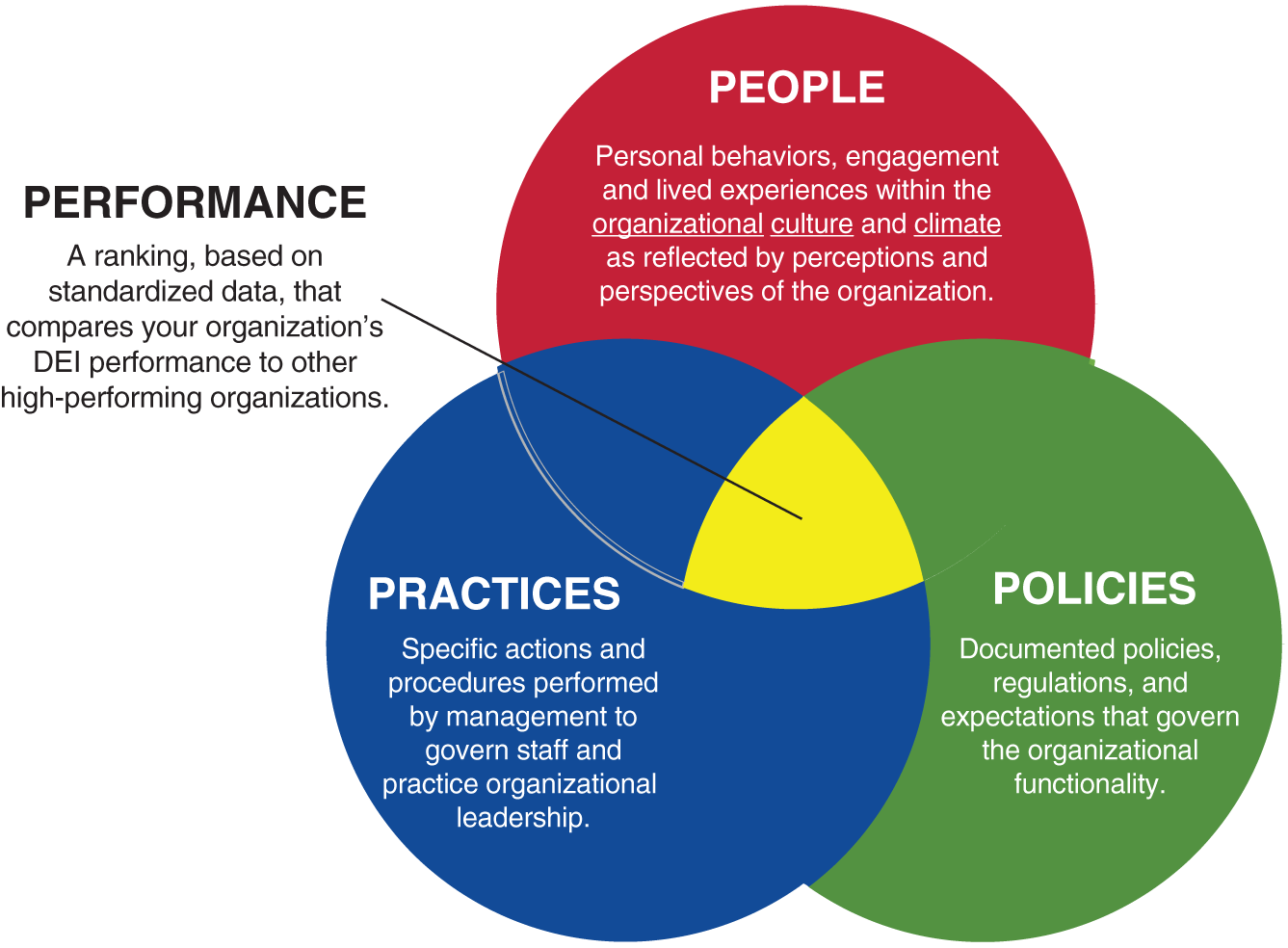 Schematic illustration of Organizational DEI Assessment Framework: The 4 P's