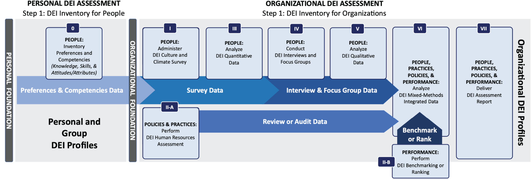 Schematic illustration of Personal and Organizational DEI Assessment Overall Approach