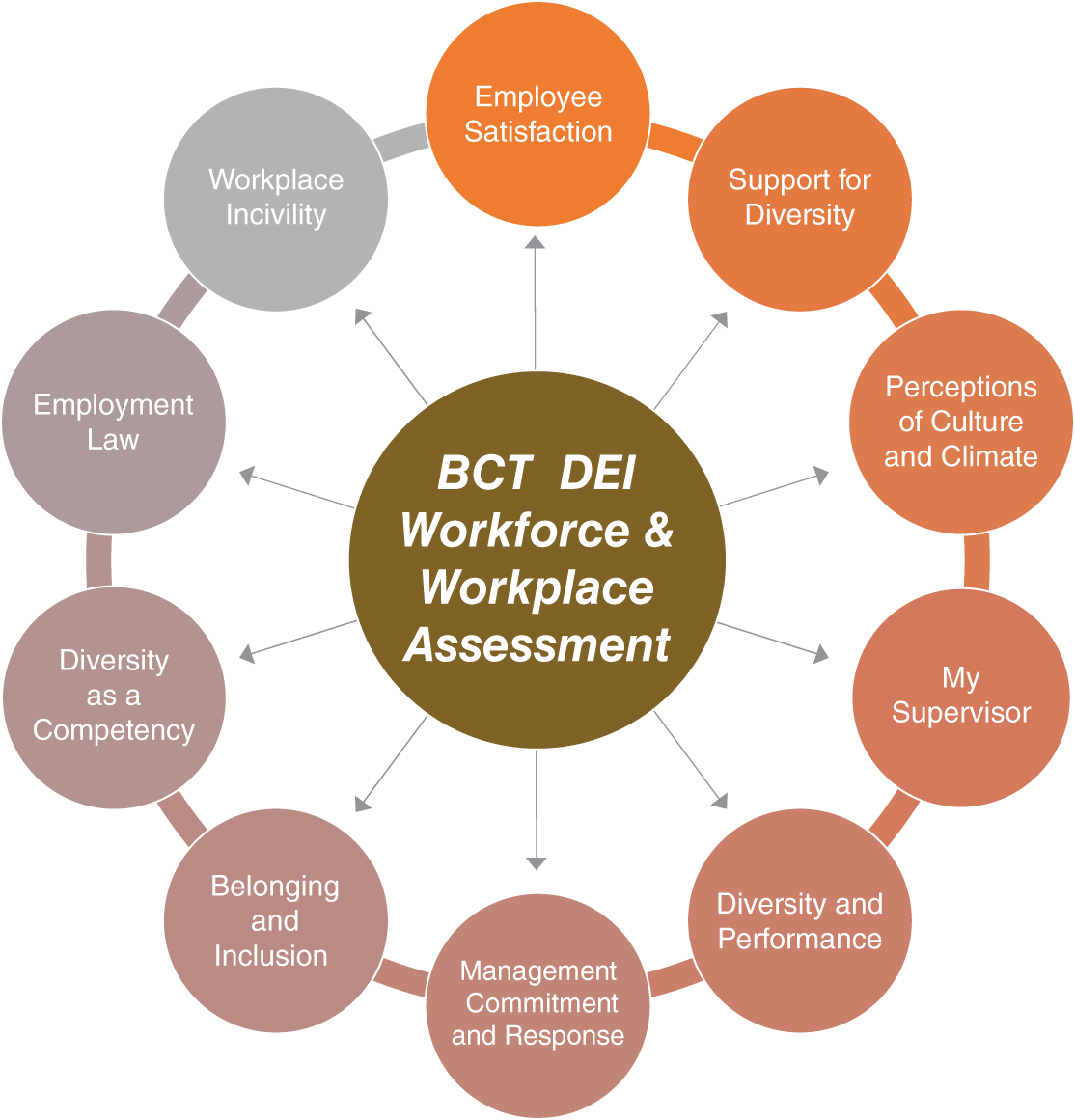 Schematic illustration of BCT's DEI Workforce and Workplace Assessment™ (DWWA™)