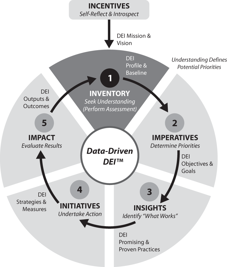 Schematic illustration of Data-Driven DEI—Step 1: DEI Inventory