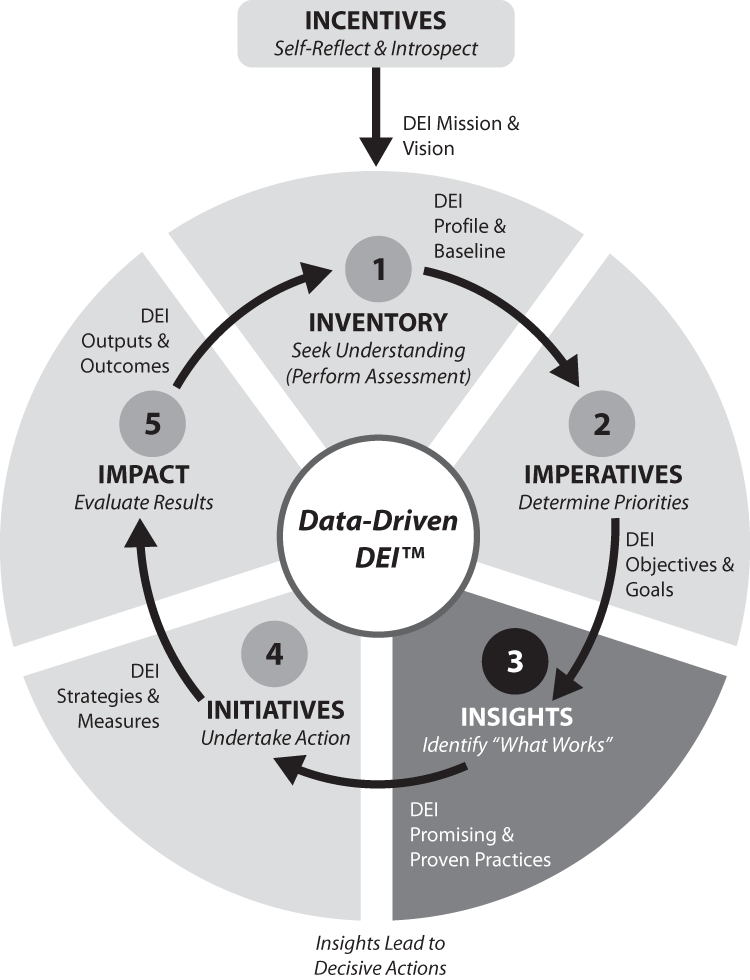 Schematic illustration of Data-Driven DEI—Step 3: DEI Insights