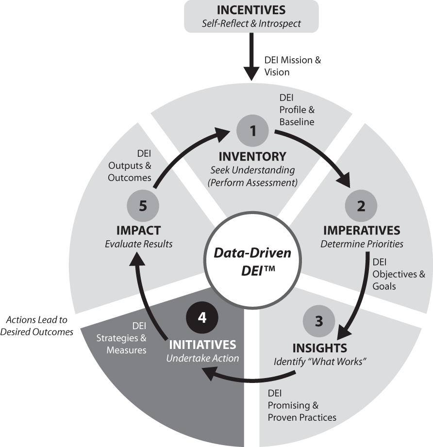 Schematic illustration of Data-Driven DEI—Step 4: DEI Initiatives