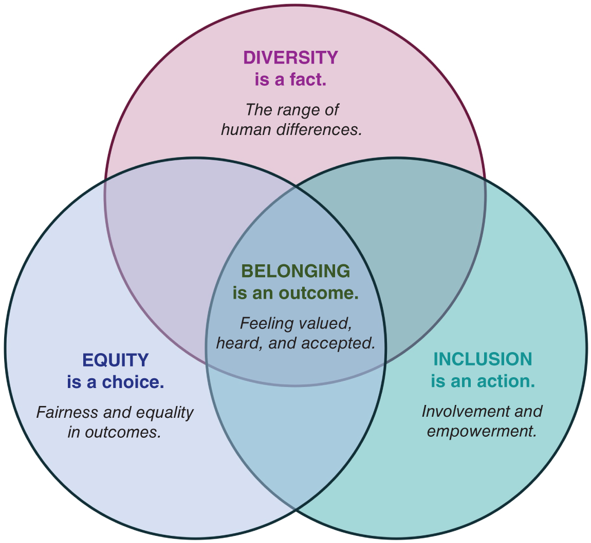 Schematic illustration of the relationship between diversity, equity, inclusion and belonging.