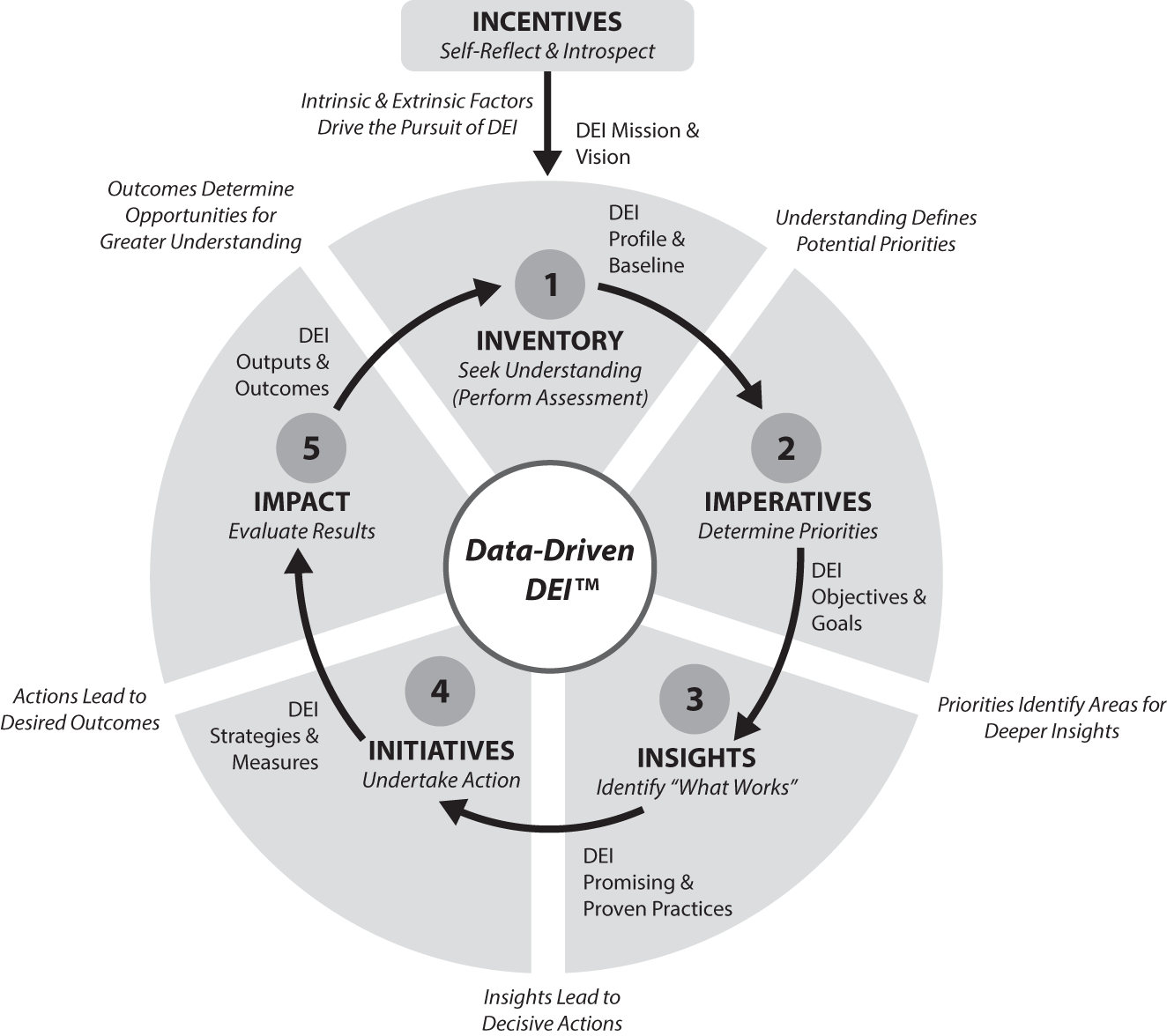 Schematic illustration of the Five-Step Cycle of Data-Driven DEI™