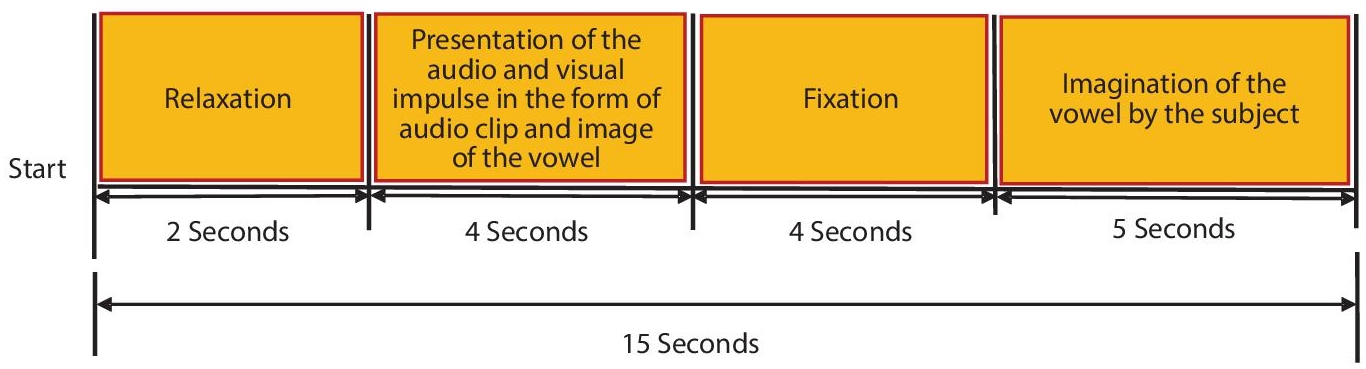 Schematic illustration of the trial recording protocol.