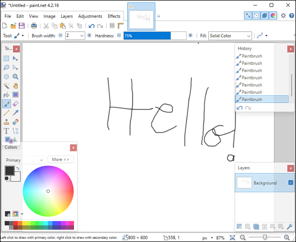 Snapshot of Paint.NET is a powerful image editor.