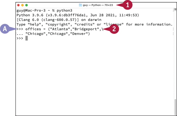 Snapshot of python prompt appears.
