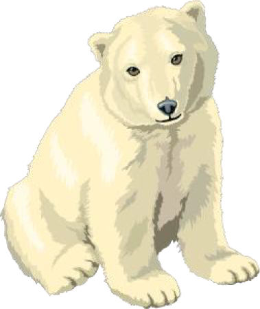 Schematic illustration of a polar bear.