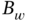 upper B Subscript w