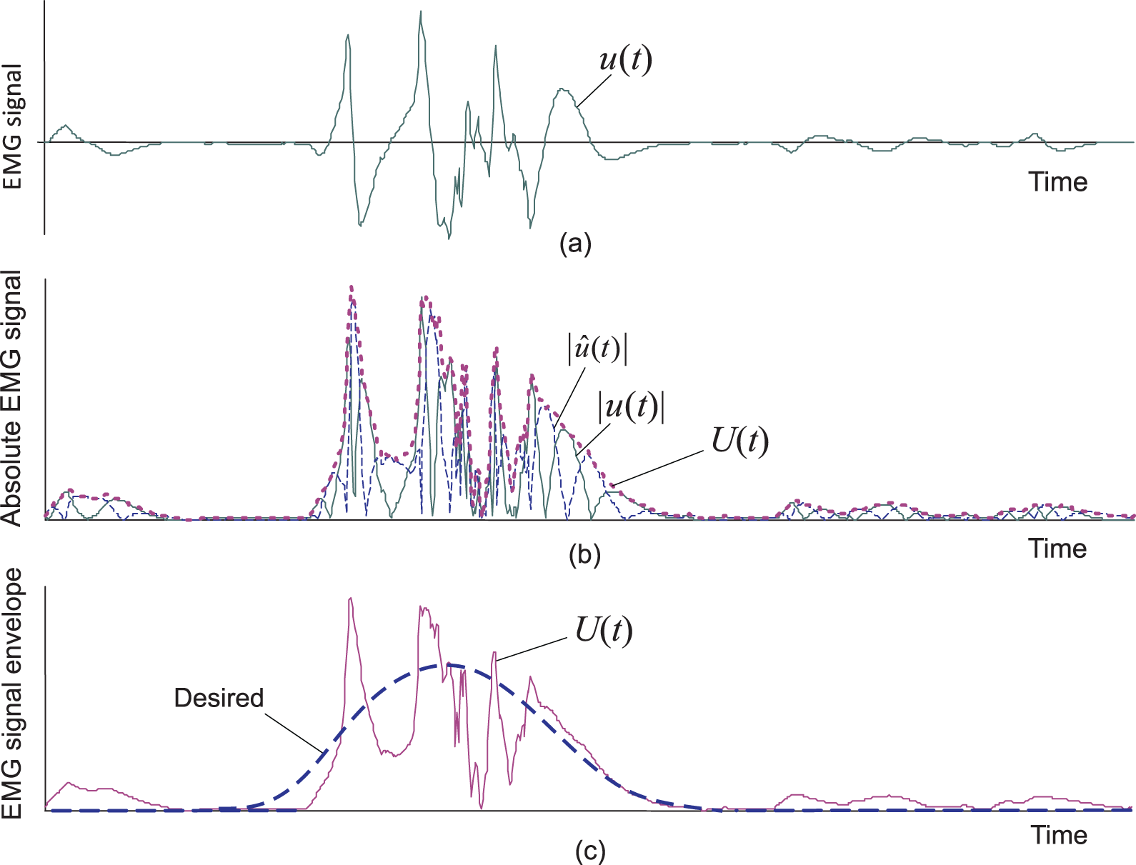 Schematic illustration of EMG signal: (a) measured EMG signal u(t) composed by MUAPs, (b) Hilbert transform u^(t) of u(t) and envelope U(t)=u2(t)+u^2(t), and (c) extracted U(t) and desired EMG signal envelope.