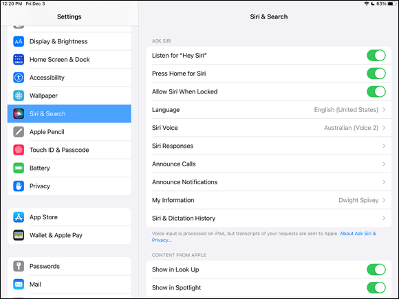 Snapshot of the siri and search dialog in the settings menu of ipad.